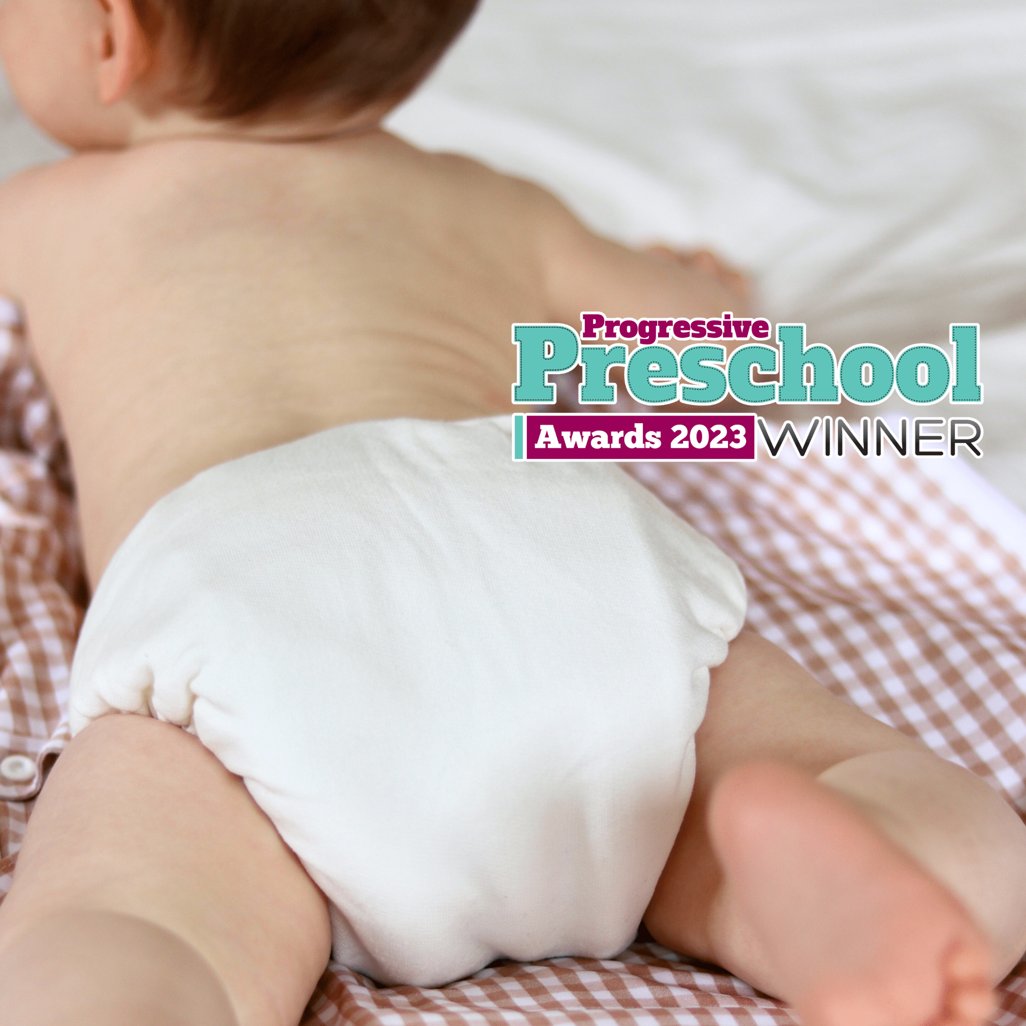 One Size Organic Bamboo Bedtime Pearl Reusable Cloth Nappy - Modern Cloth Nappies