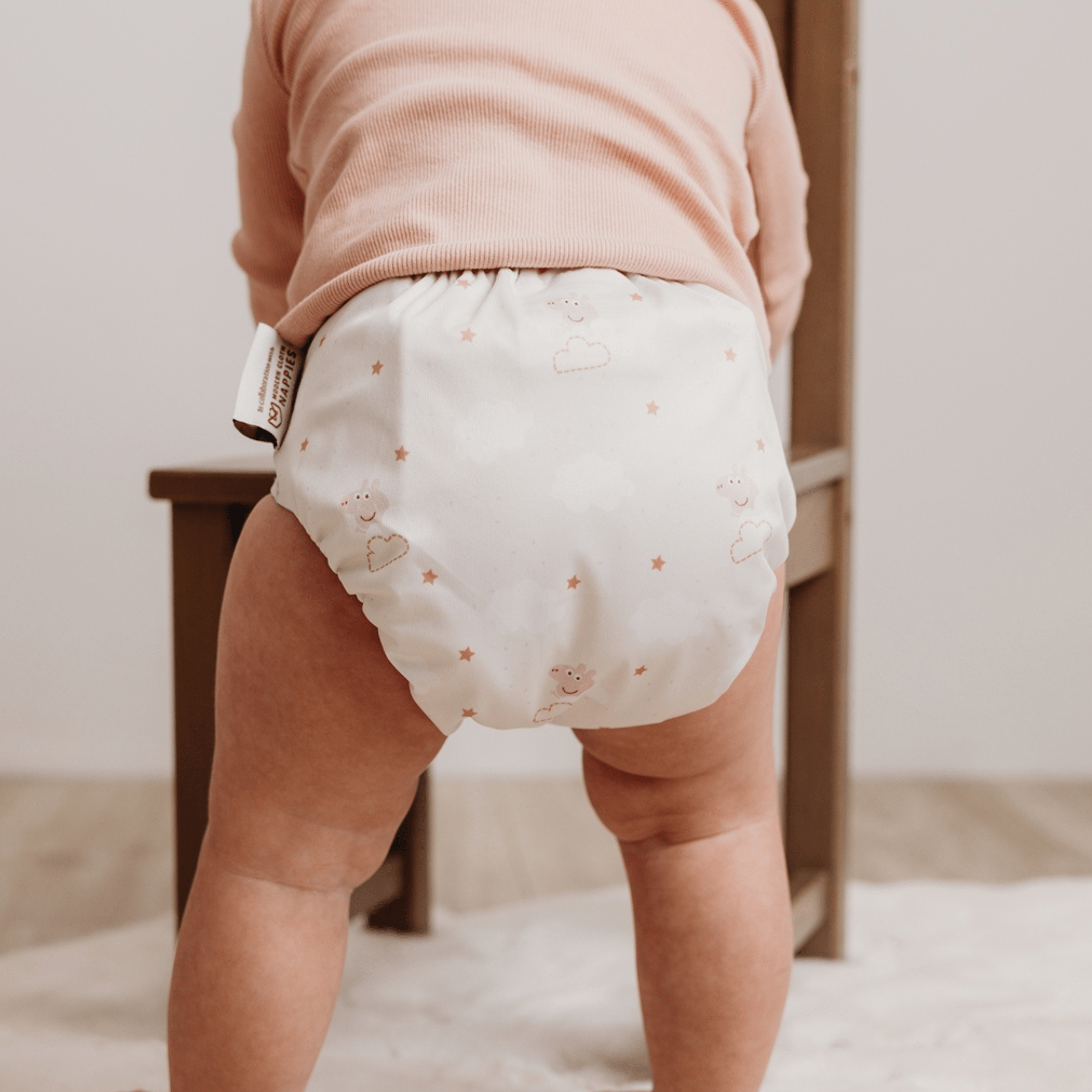 Peppa Pig One Size All - In - One Reusable Cloth Nappy - Peppa Clouds - Modern Cloth Nappies